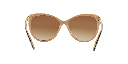 Ralph by Ralph Lauren RA 5150 Sunglasses - image 3