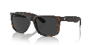 Ray-Ban Justin Classic RB 4165 Sunglasses - image 2