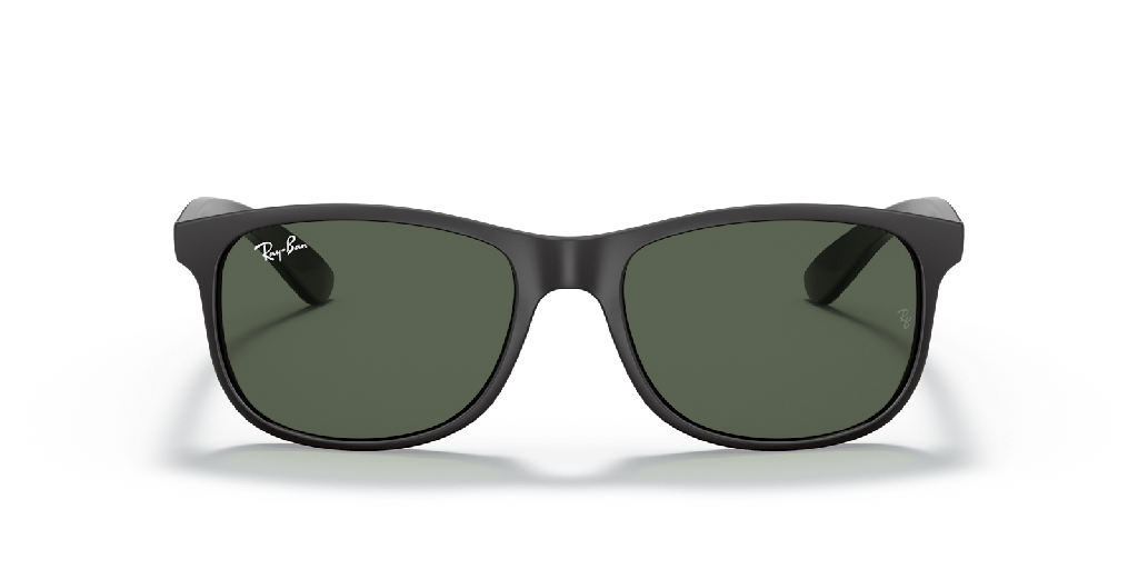 Ray-Ban Andy RB 4202 Sunglasses