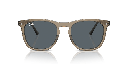 Ray-Ban RB 2210 Sunglasses
