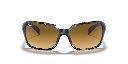 Ray-Ban RB 4068 Sunglasses