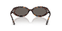 Ray-Ban RB 2223 Sunglasses - image 3