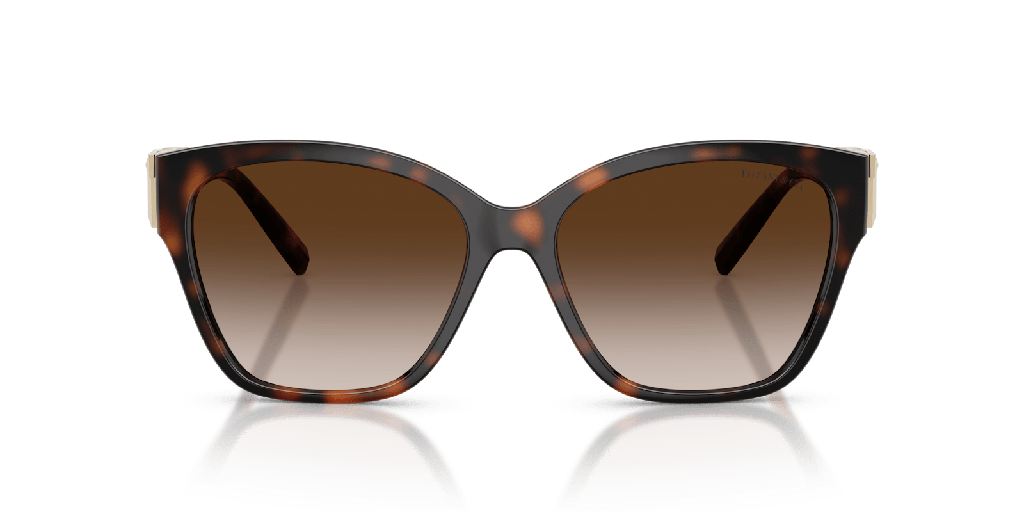 [1461011002] Tiffany & Co TF 4254U Sunglasses