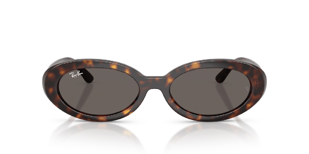 [1463765003] Ray-Ban RB 2223 Sunglasses