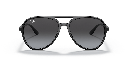 Ray-Ban RB 4376 Sunglasses