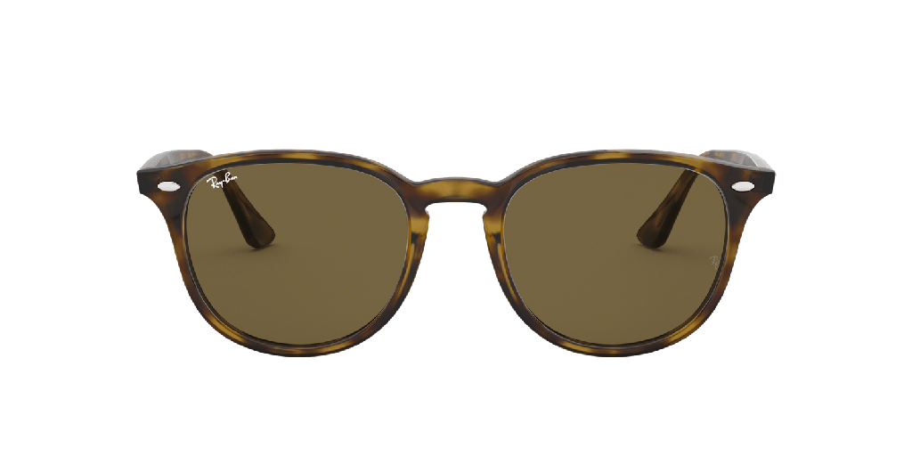 [1511517003] Ray-Ban RB 4259 Sunglasses