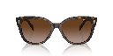Ralph by Ralph Lauren RA 5305U Sunglasses