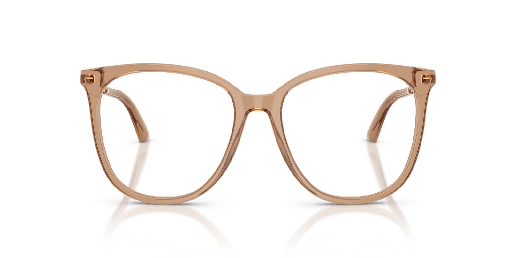 [1465765003] Jimmy Choo JC 3060 Glasses