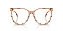 Jimmy Choo JC 3060 Glasses