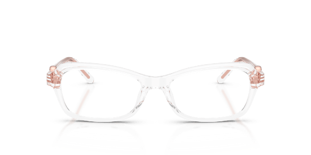 [1464554005] Michael Kors Hakone MK 4182U Glasses
