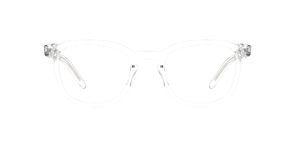 [60055830] Seen SN OM5003 Glasses