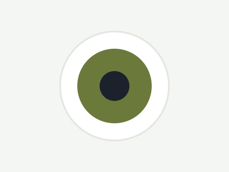 Lensme Colour Lenses
